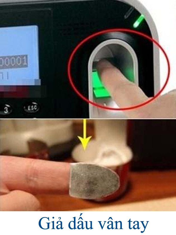 Thực hư về khóa vân tay - dòng sản phẩm đang thịnh hành trên thị trường